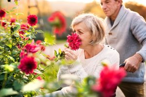 Importance of Family Caregiving