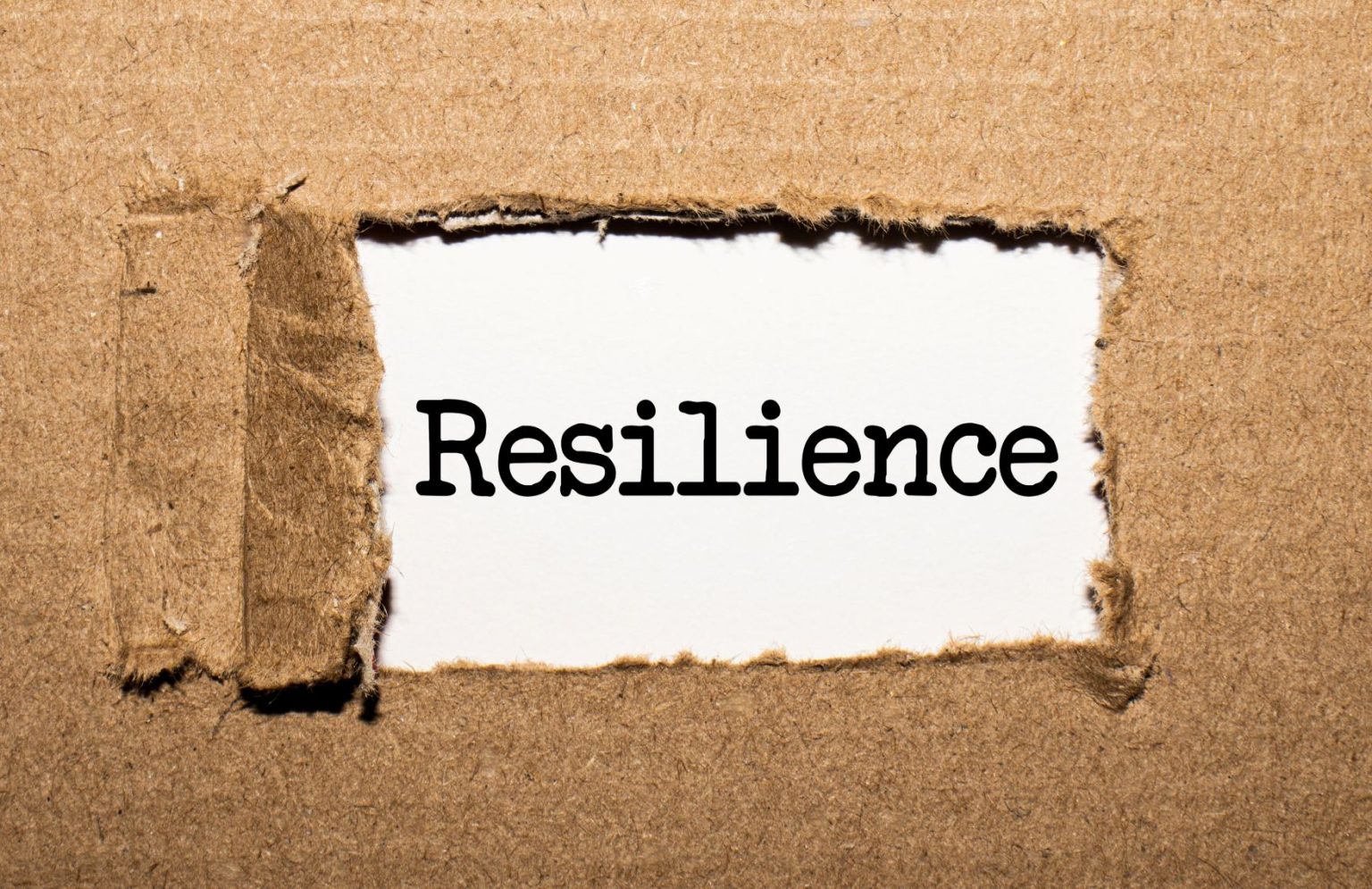 Resilience: Definition, Importance, Tips And Quotes