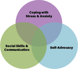 SKILLS YOUNG ADULT THERAPY