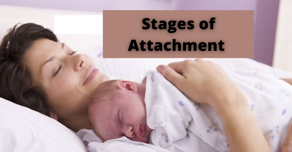 Stages of Attachment