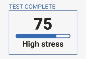 stress level test