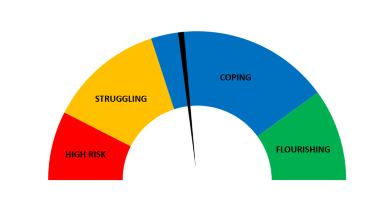 mental-health-test-a-resource-guide