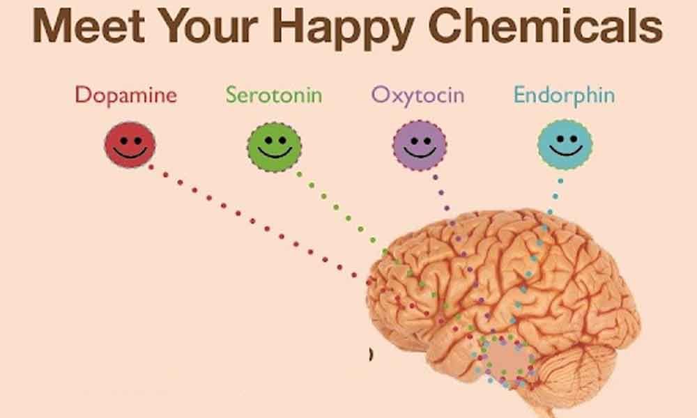  The image shows a diagram of the brain with four different neurotransmitters: dopamine, serotonin, oxytocin, and endorphins. The caption reads: "Meet your happy chemicals." The image is about the neurotransmitters that are released during exercise.