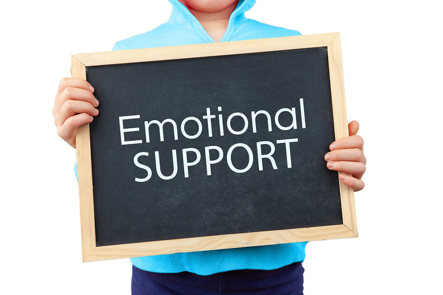 Emotional Support | How To Give Emotional Support?