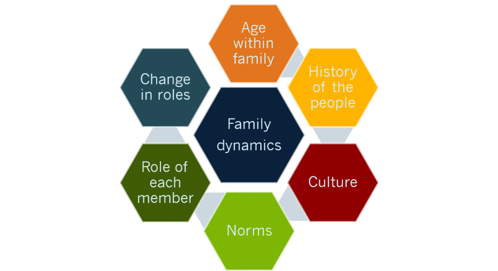 Family Dynamics Examples Forms And Functional Family