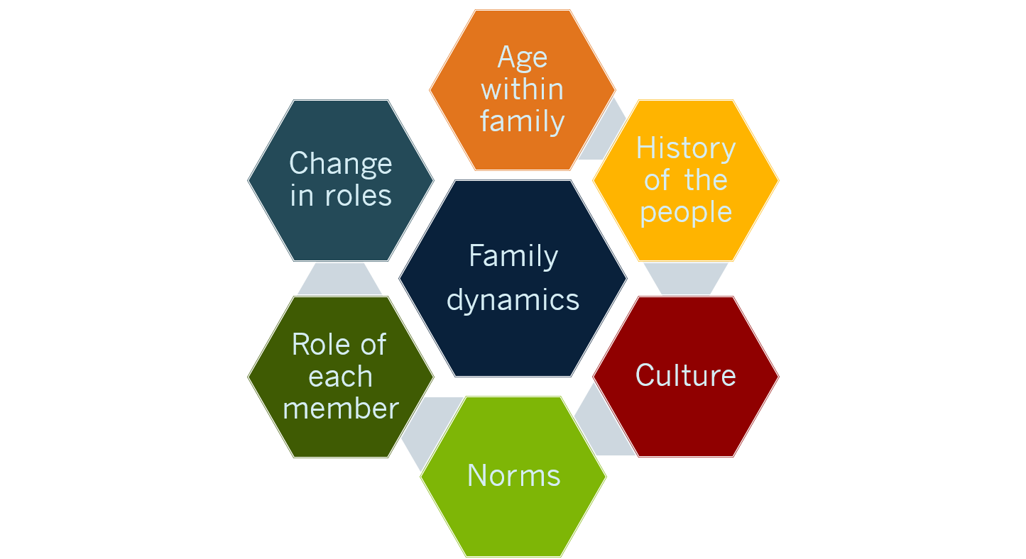 Family Dynamics Examples Forms And Functional Family