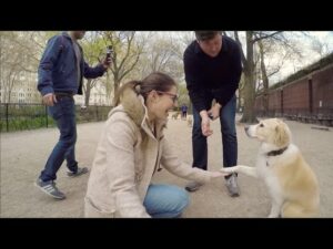 How To Help Someone Who Has Fear Of Dogs?