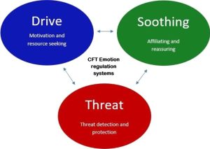 Limitations of Compassion Focused Therapy