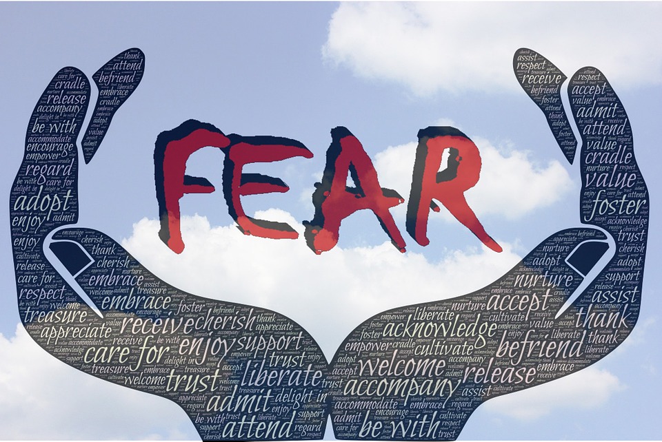 Negative Impacts of Fear