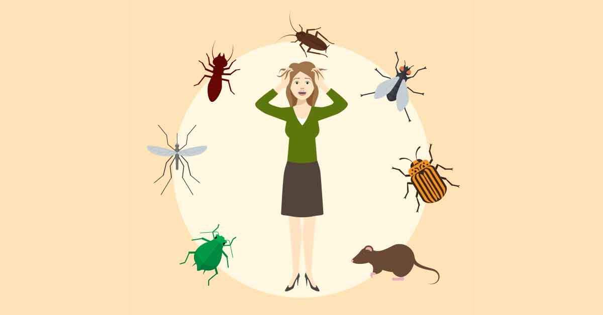 Signs of Fear of Bugs