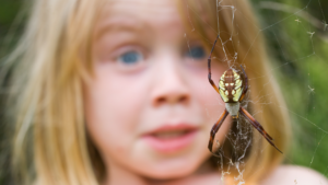 Tips To Prevent Arachnophobia In Children