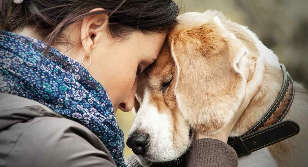 coping with the grief of losing pet