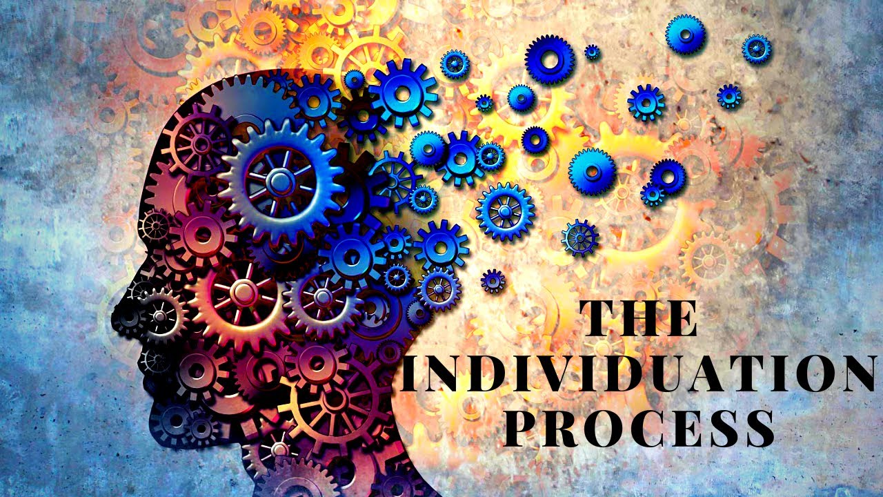Individual Psychology Stages of Individual Psychology