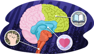 Problems With Limbic System Function