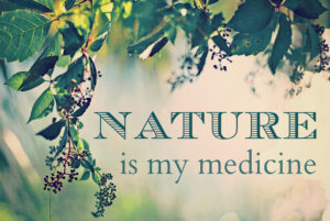 nature therapy