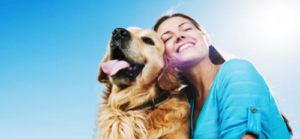 animal-assisted therapy