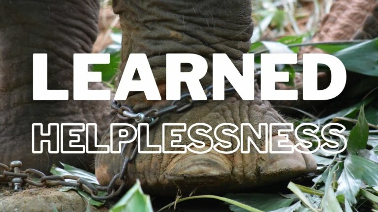 learned-helplessness-examples-concept-tips-and-therapies