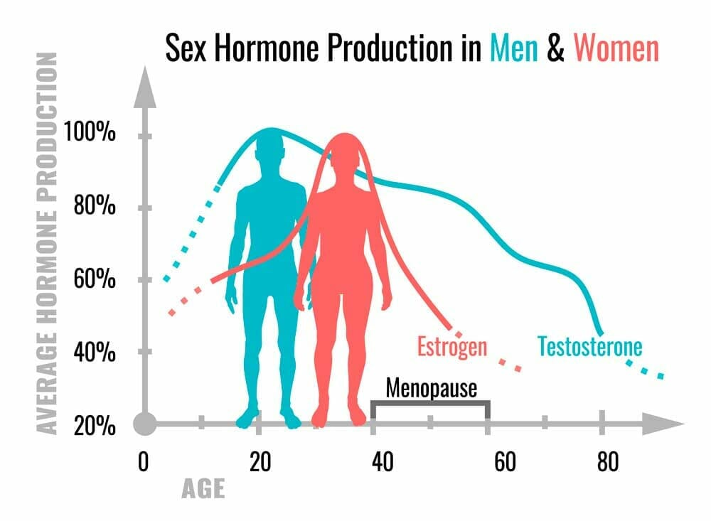 Male Hormone Cycles Are They Real 