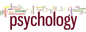 What Does Psychological Theory Mean?