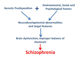 Subtypes of Schizophrenia