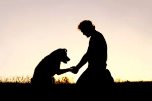 tips for Grieving the Death of a Pet