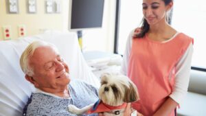 What Are The Goal Of Animal-Assisted Therapy