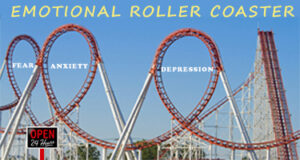 What Is Meant By "Emotional Roller Coaster"?