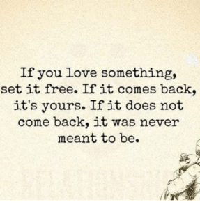 if you love something set free