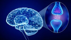 Low Serotonin Symptoms