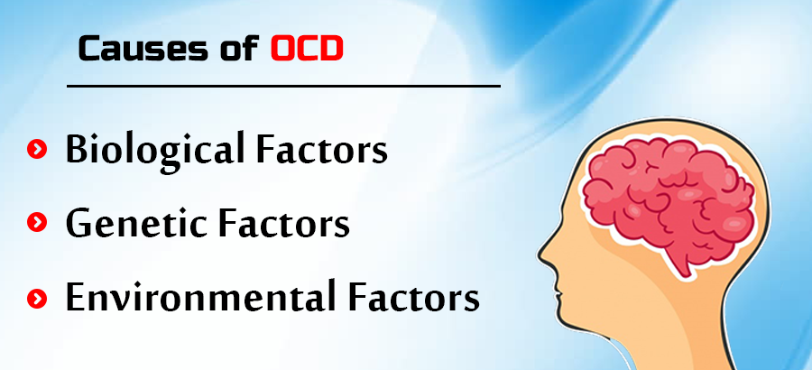 Causes of OCD Disorder