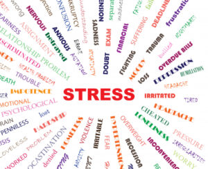 4 Types of Stress