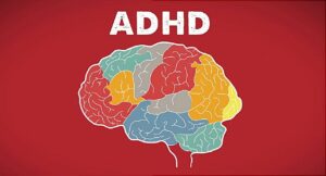 How Does ADHD Impact The Brain?