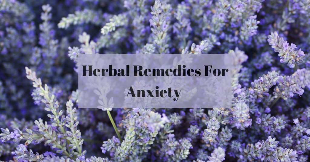 Herbal Remedies for Anxiety Different Herbal Remedies For Anxiety
