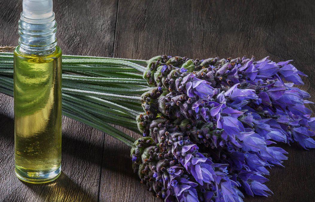 View of Natural Remedies For Anxiety: Different Types And Benefits