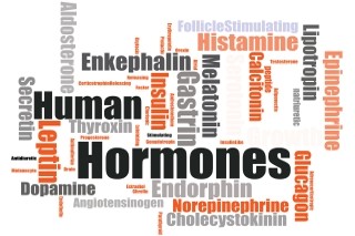 stress hormones