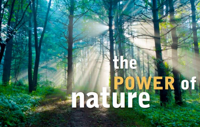 Nature Therapy: The Healing Power of the Great Outdoors