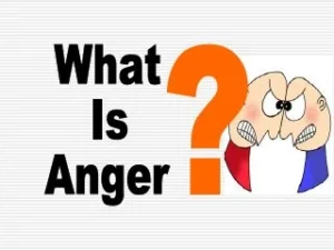 What Is Anger?