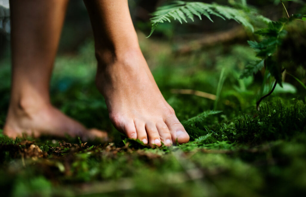 Grounding Therapy: How to Connect With the Earth and Find Calm