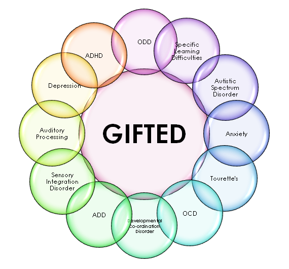 Gifted ADHD: What It Is and How to Support It