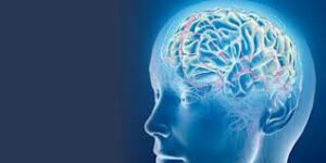 What Is The Difference Between Psychiatry And Neuro-Psychiatry?