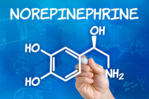 Do People With ADHD Have Less Norepinephrine?