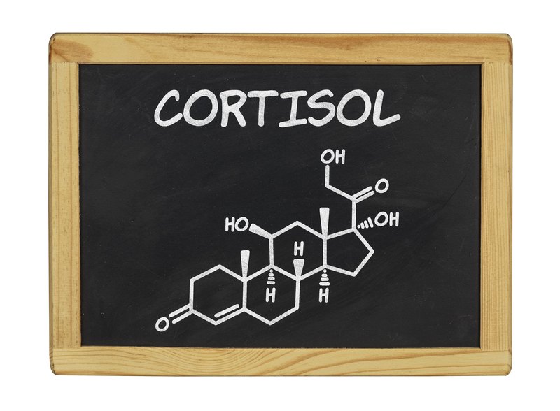 Cortisol and Anxiety: What’s the Connection?